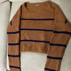 Charlotte Russe Brown Striped Cropped Sweater